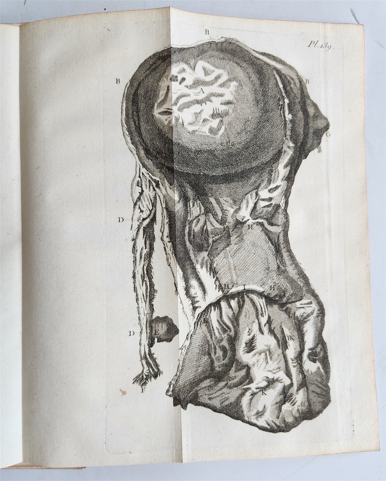 1752 MEDICAL TREATISE ILLUSTRATED ANATOMY by Francois PLANQUE antique V. 7