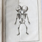 1752 MEDICAL TREATISE ILLUSTRATED ANATOMY by Francois PLANQUE antique V. 7
