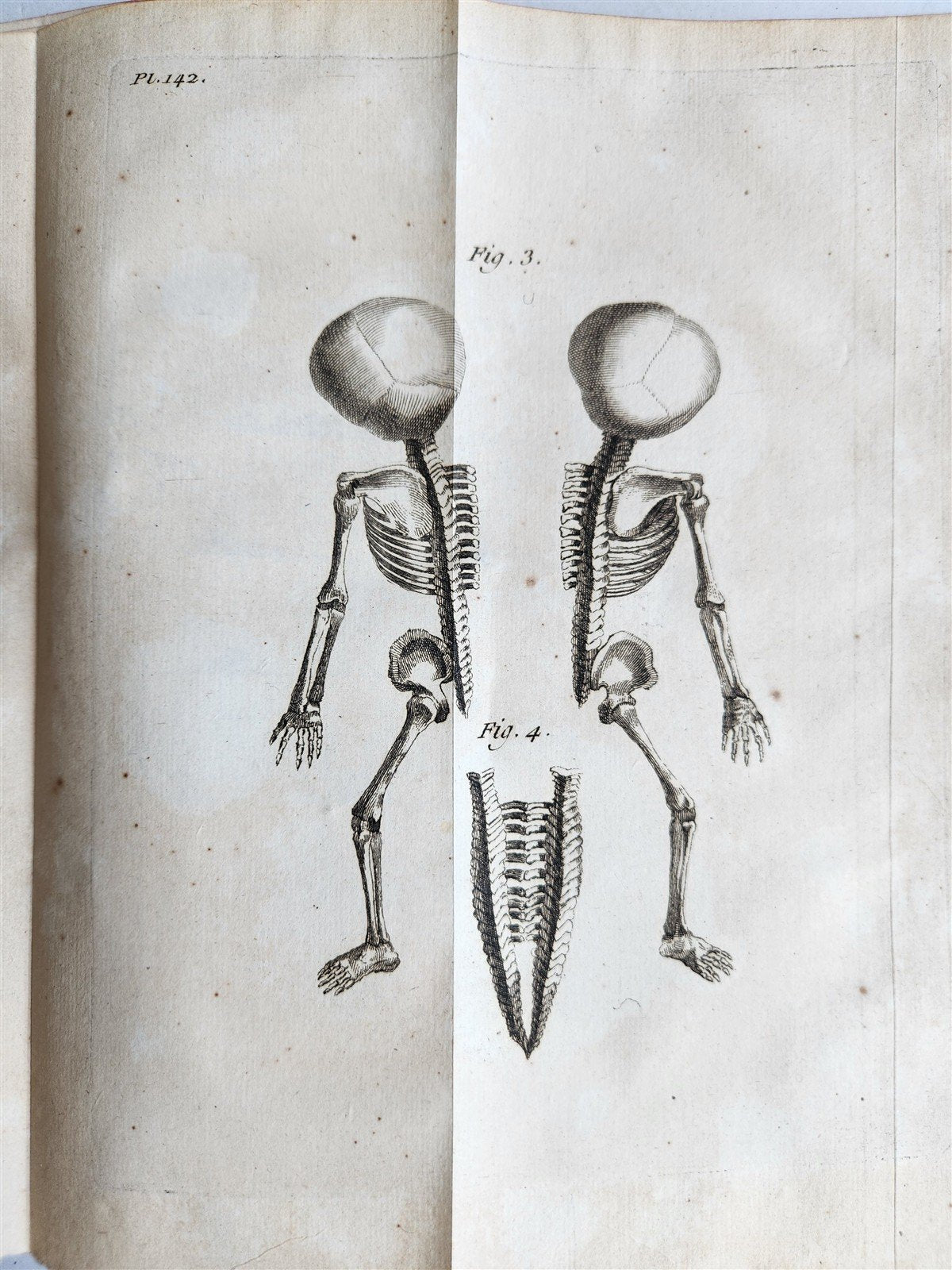 1752 MEDICAL TREATISE ILLUSTRATED ANATOMY by Francois PLANQUE antique V. 7