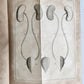 1752 MEDICAL TREATISE ILLUSTRATED ANATOMY by Francois PLANQUE antique V. 7