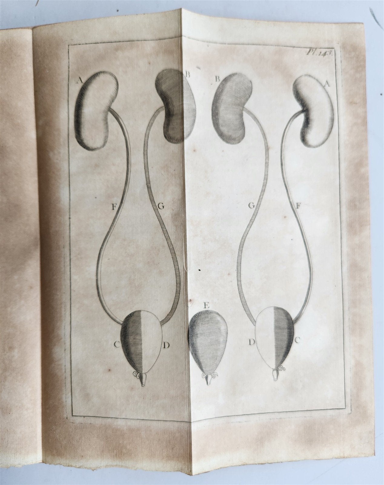 1752 MEDICAL TREATISE ILLUSTRATED ANATOMY by Francois PLANQUE antique V. 7