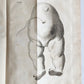 1752 MEDICAL TREATISE ILLUSTRATED ANATOMY by Francois PLANQUE antique V. 7
