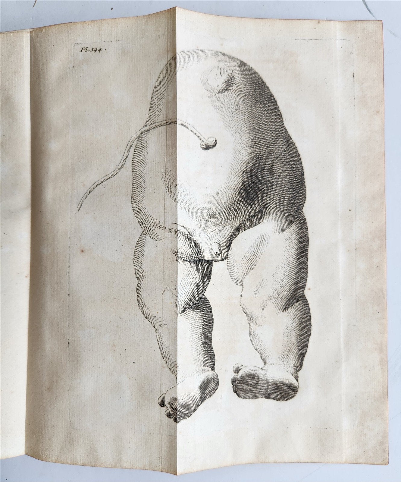 1752 MEDICAL TREATISE ILLUSTRATED ANATOMY by Francois PLANQUE antique V. 7