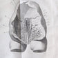 1752 MEDICAL TREATISE ILLUSTRATED ANATOMY by Francois PLANQUE antique V. 7