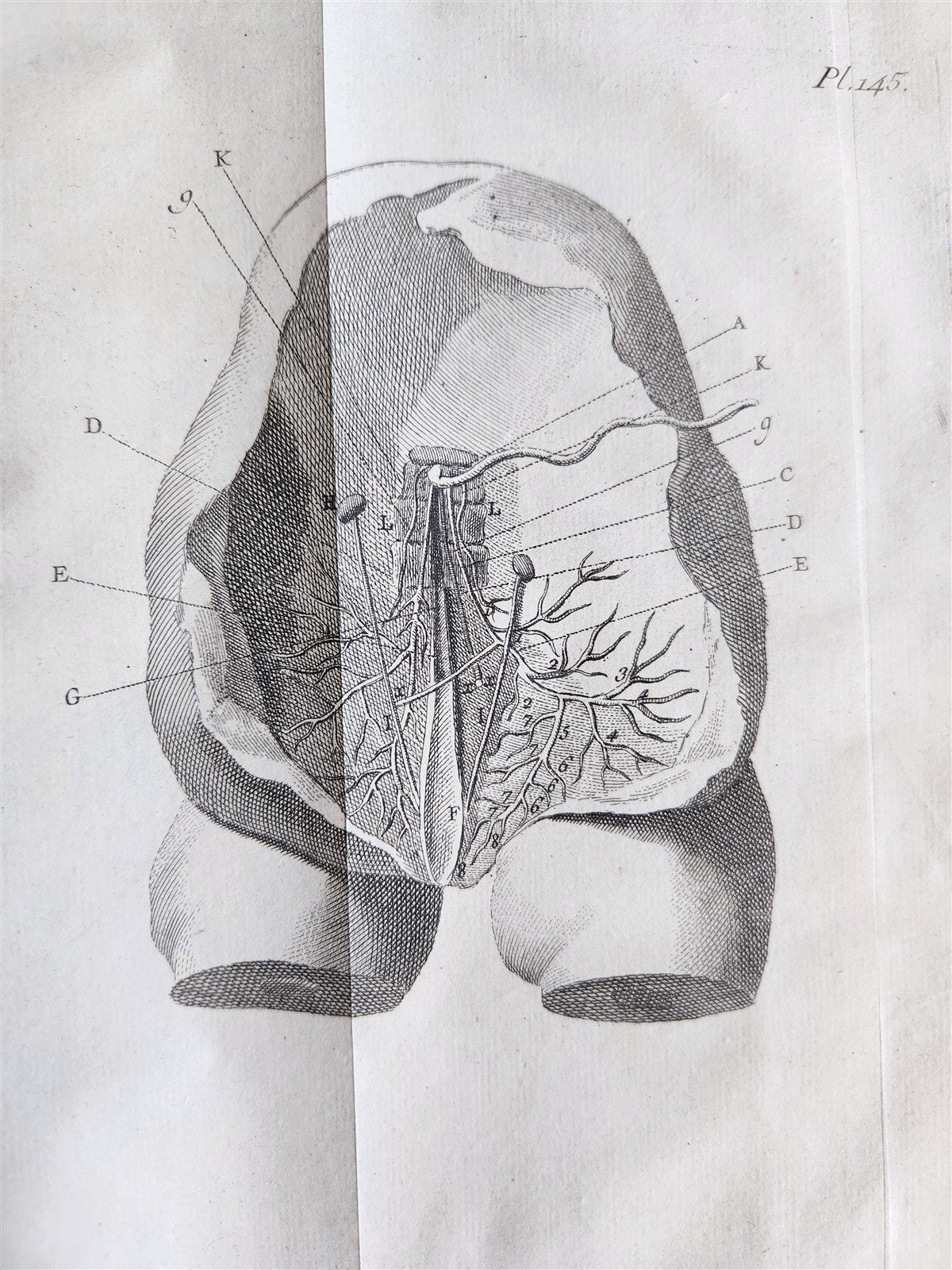 1752 MEDICAL TREATISE ILLUSTRATED ANATOMY by Francois PLANQUE antique V. 7