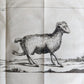 1752 MEDICAL TREATISE ILLUSTRATED ANATOMY by Francois PLANQUE antique V. 7