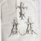 1752 MEDICAL TREATISE ILLUSTRATED ANATOMY by Francois PLANQUE antique V. 7