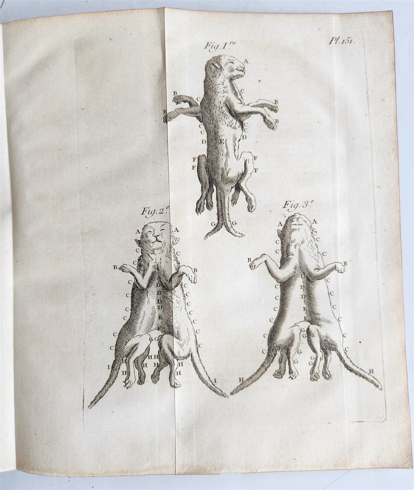 1752 MEDICAL TREATISE ILLUSTRATED ANATOMY by Francois PLANQUE antique V. 7