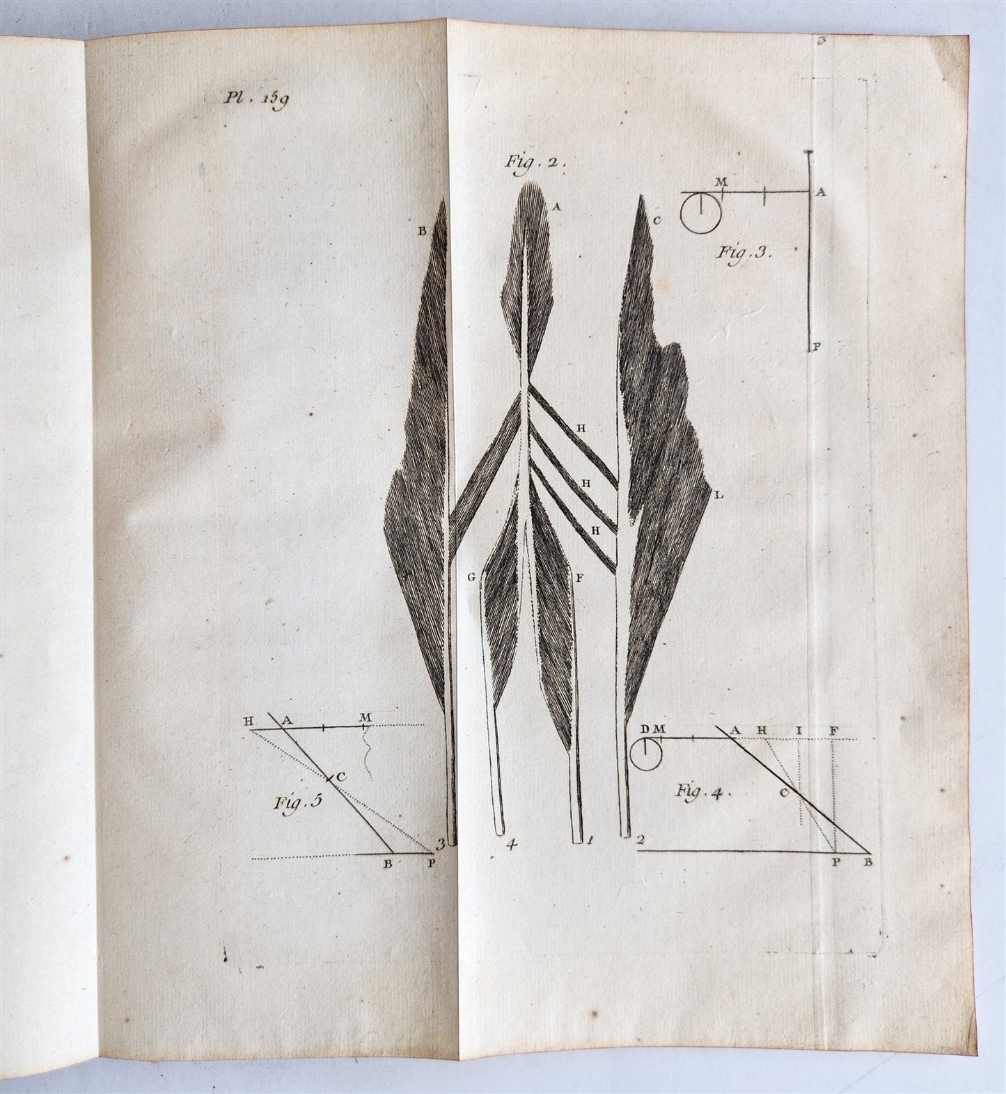 1752 MEDICAL TREATISE ILLUSTRATED ANATOMY by Francois PLANQUE antique V. 7