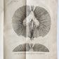 1752 MEDICAL TREATISE ILLUSTRATED ANATOMY by Francois PLANQUE antique V. 7