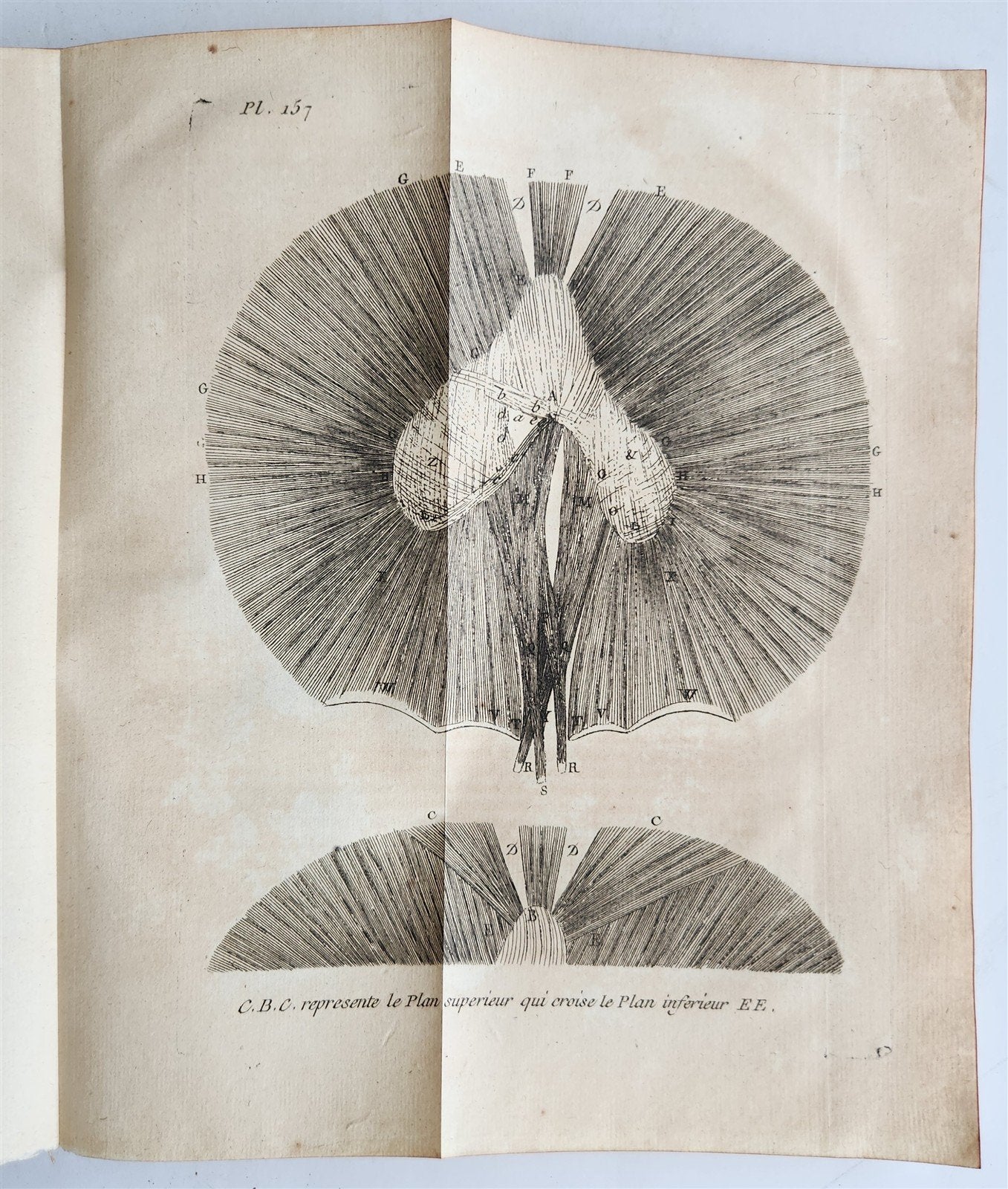 1752 MEDICAL TREATISE ILLUSTRATED ANATOMY by Francois PLANQUE antique V. 7