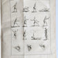 1752 MEDICAL TREATISE ILLUSTRATED ANATOMY by Francois PLANQUE antique V. 7