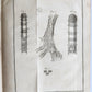 1752 MEDICAL TREATISE ILLUSTRATED ANATOMY by Francois PLANQUE antique V. 7