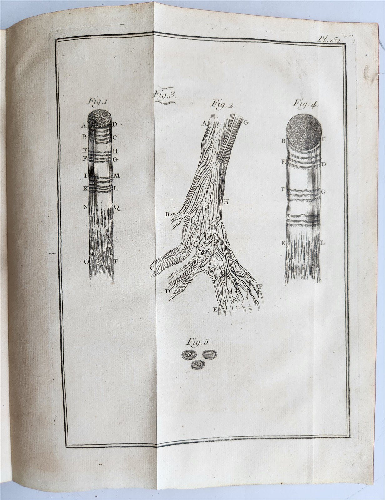 1752 MEDICAL TREATISE ILLUSTRATED ANATOMY by Francois PLANQUE antique V. 7