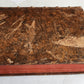 1752 MEDICAL TREATISE ILLUSTRATED ANATOMY by Francois PLANQUE antique V. 7