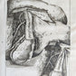 1750 MEDICAL TREATISE ILLUSTRATED ANATOMY by Francois PLANQUE antique V. 3