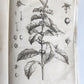 1750 MEDICAL TREATISE ILLUSTRATED ANATOMY by Francois PLANQUE antique V. 3