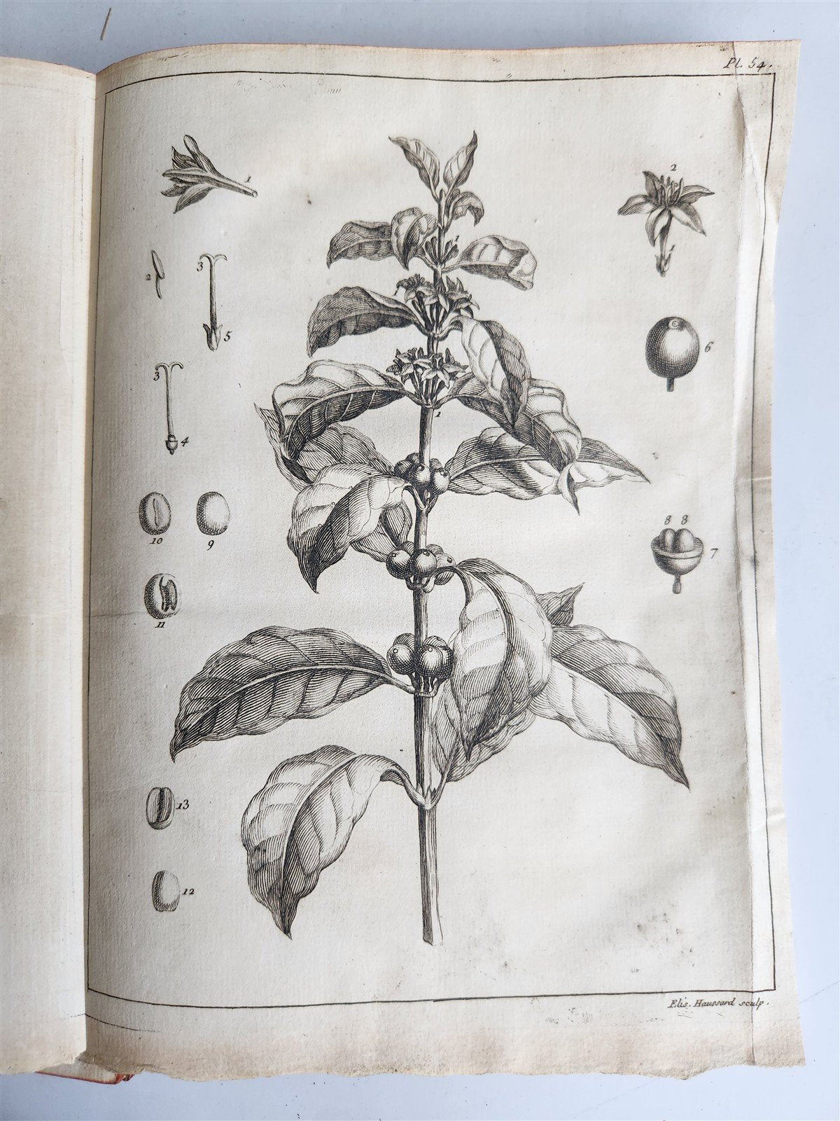 1750 MEDICAL TREATISE ILLUSTRATED ANATOMY by Francois PLANQUE antique V. 3
