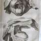 1750 MEDICAL TREATISE ILLUSTRATED ANATOMY by Francois PLANQUE antique V. 3