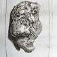 1750 MEDICAL TREATISE ILLUSTRATED ANATOMY by Francois PLANQUE antique V. 3