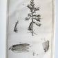 1750 MEDICAL TREATISE ILLUSTRATED ANATOMY by Francois PLANQUE antique V. 3
