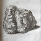 1750 MEDICAL TREATISE ILLUSTRATED ANATOMY by Francois PLANQUE antique V. 3