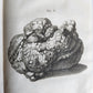 1750 MEDICAL TREATISE ILLUSTRATED ANATOMY by Francois PLANQUE antique V. 3