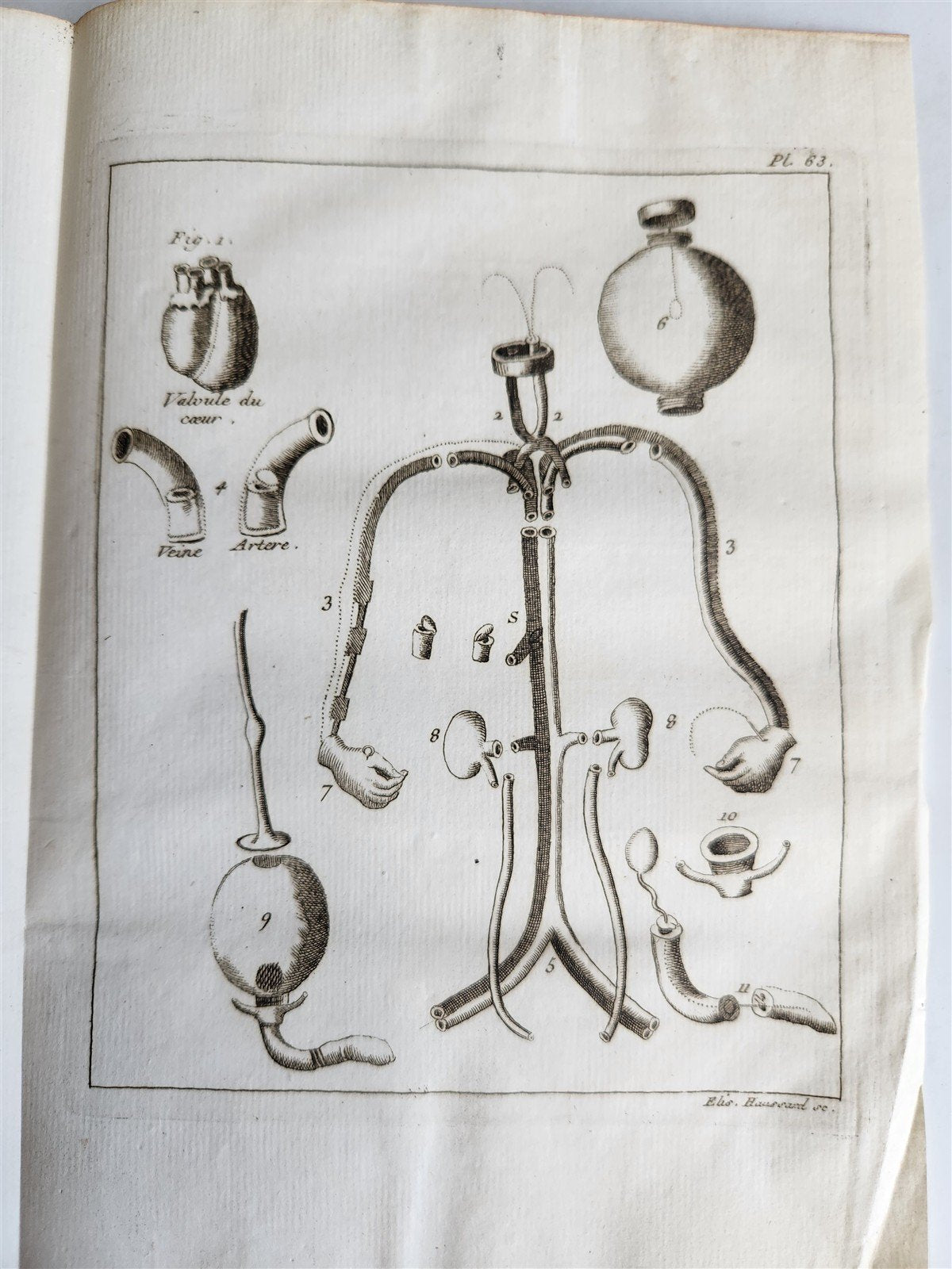 1750 MEDICAL TREATISE ILLUSTRATED ANATOMY by Francois PLANQUE antique V. 3