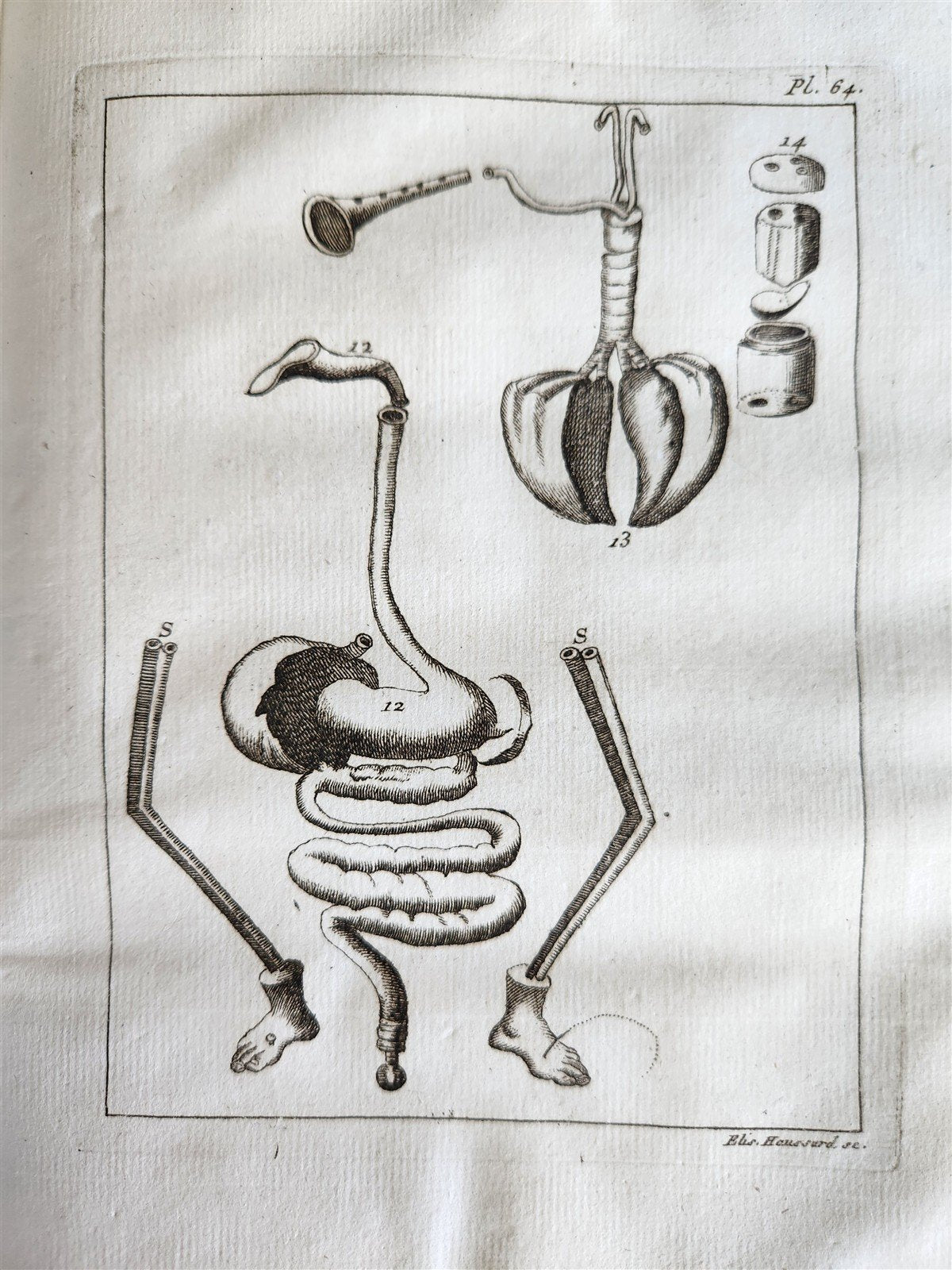 1750 MEDICAL TREATISE ILLUSTRATED ANATOMY by Francois PLANQUE antique V. 3