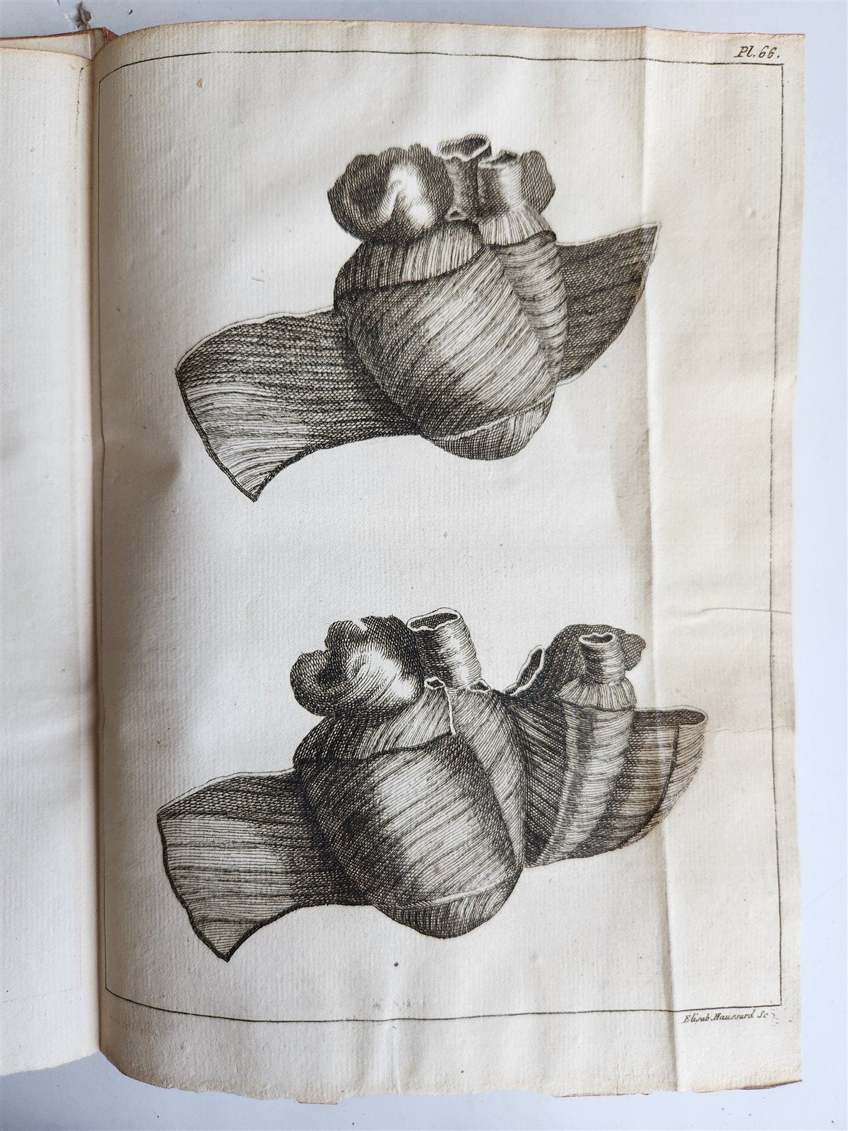 1750 MEDICAL TREATISE ILLUSTRATED ANATOMY by Francois PLANQUE antique V. 3