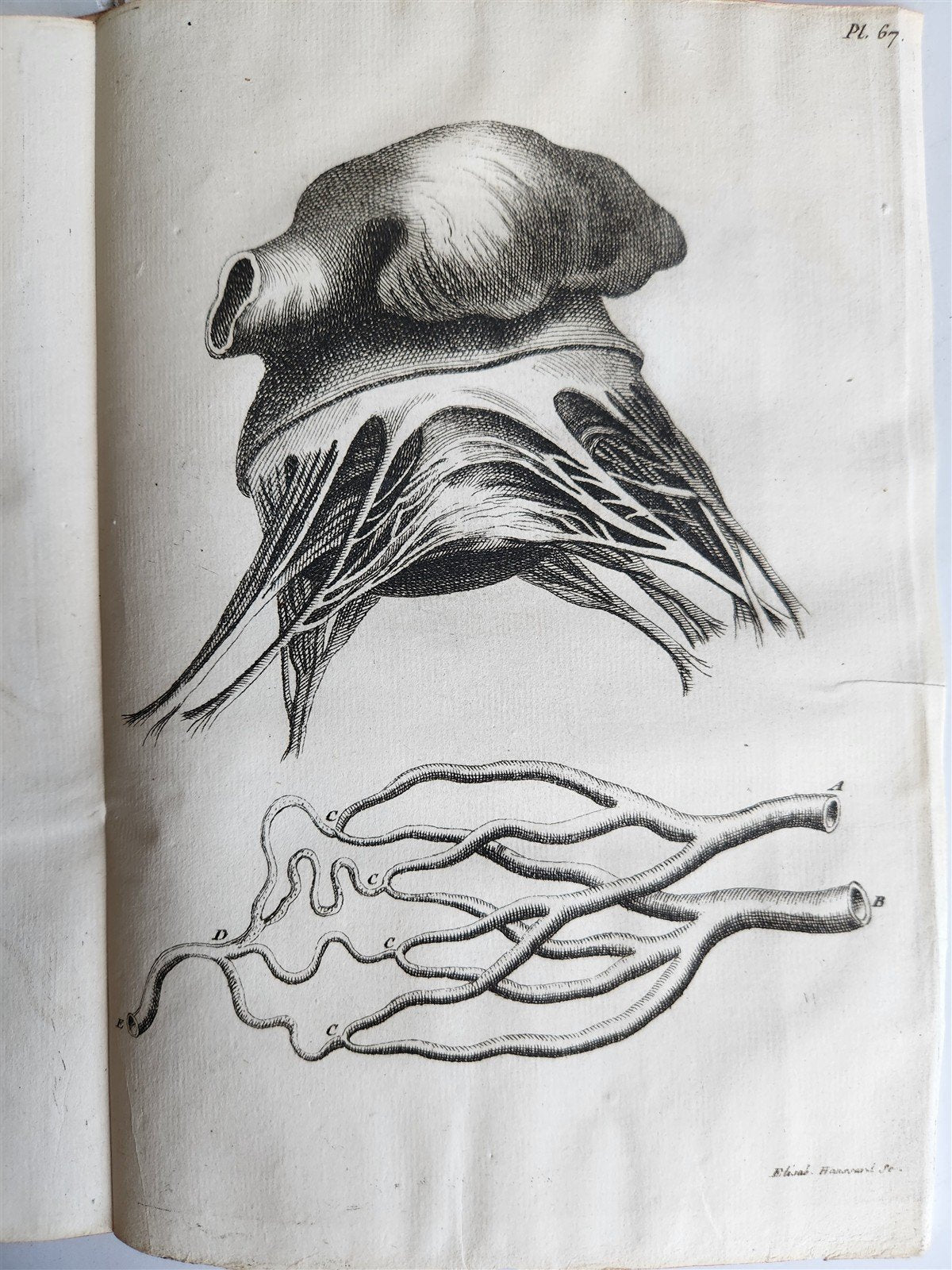 1750 MEDICAL TREATISE ILLUSTRATED ANATOMY by Francois PLANQUE antique V. 3