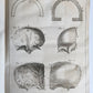 1750 MEDICAL TREATISE ILLUSTRATED ANATOMY by Francois PLANQUE antique V. 3