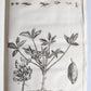 1750 MEDICAL TREATISE ILLUSTRATED ANATOMY by Francois PLANQUE antique V. 3