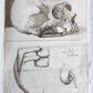 1750 MEDICAL TREATISE ILLUSTRATED ANATOMY by Francois PLANQUE antique V. 3