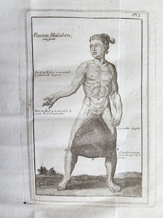 1748 MEDICAL TREATISE ILLUSTRATED ANATOMY by Francois PLANQUE antique V. 1