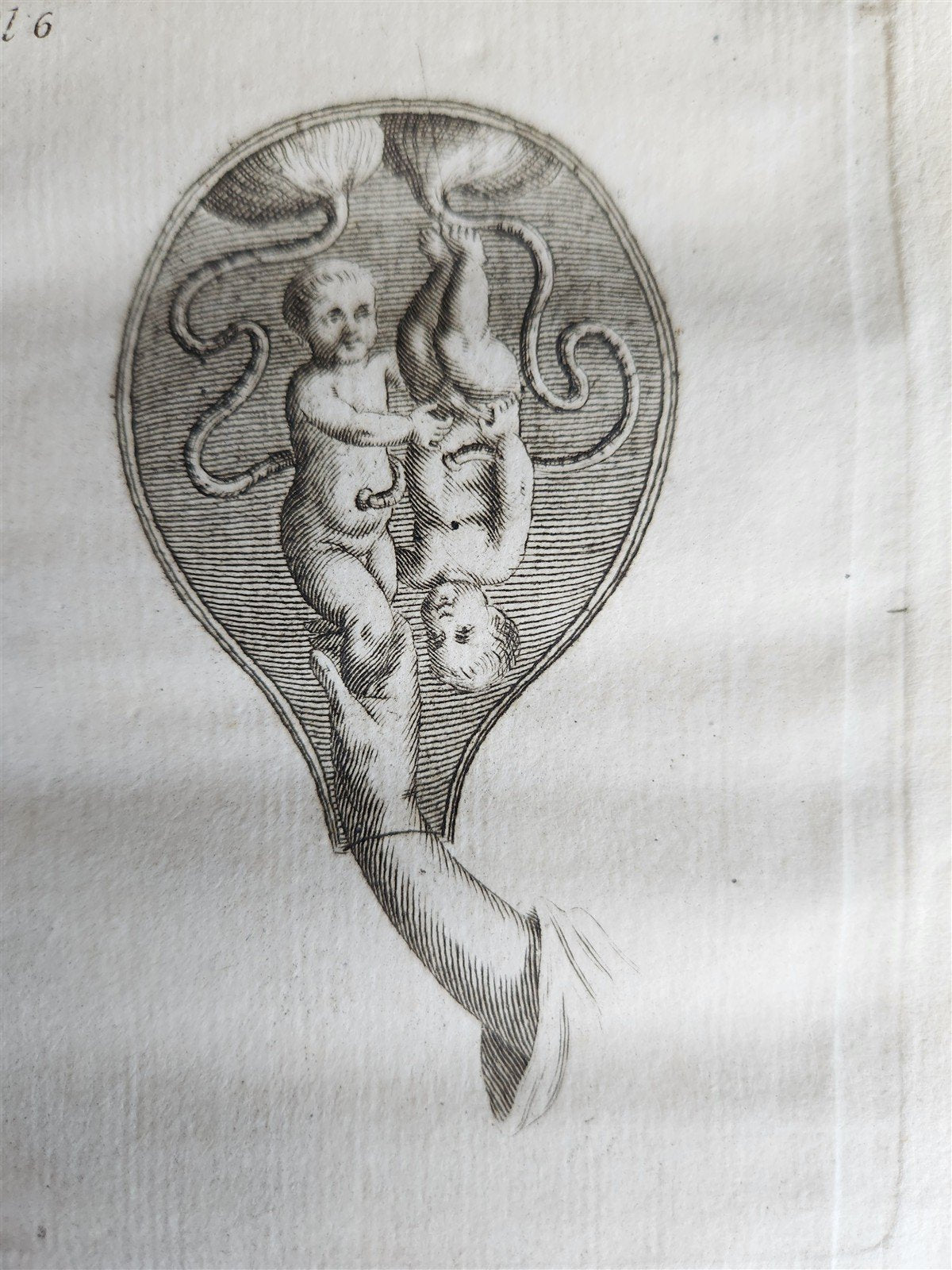 1748 MEDICAL TREATISE ILLUSTRATED ANATOMY by Francois PLANQUE antique V. 1