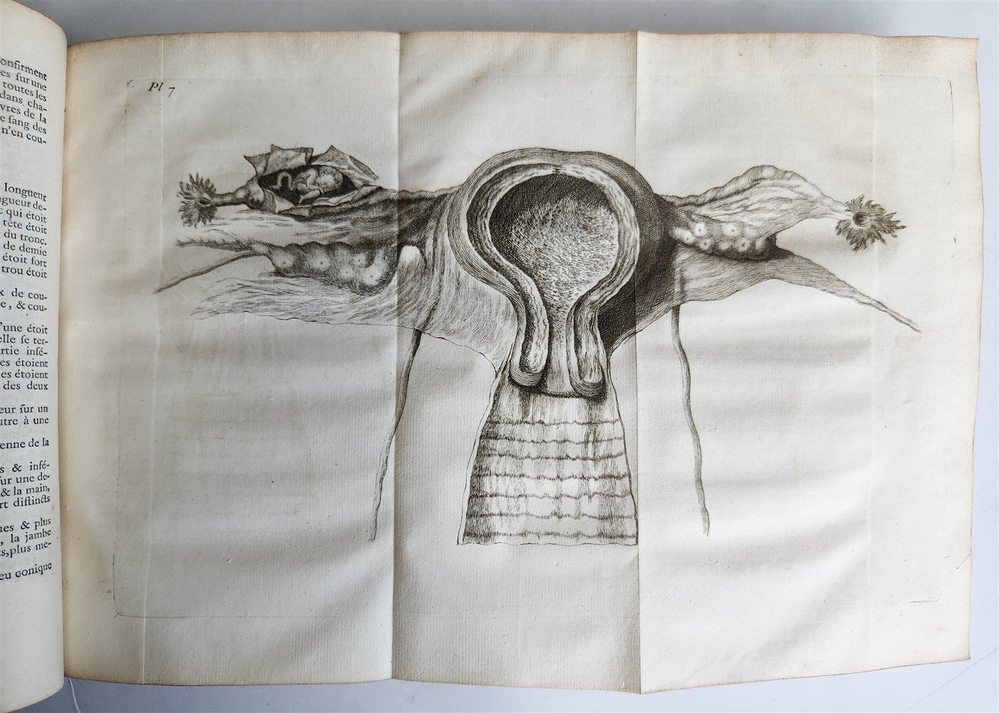 1748 MEDICAL TREATISE ILLUSTRATED ANATOMY by Francois PLANQUE antique V. 1