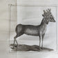 1748 MEDICAL TREATISE ILLUSTRATED ANATOMY by Francois PLANQUE antique V. 1