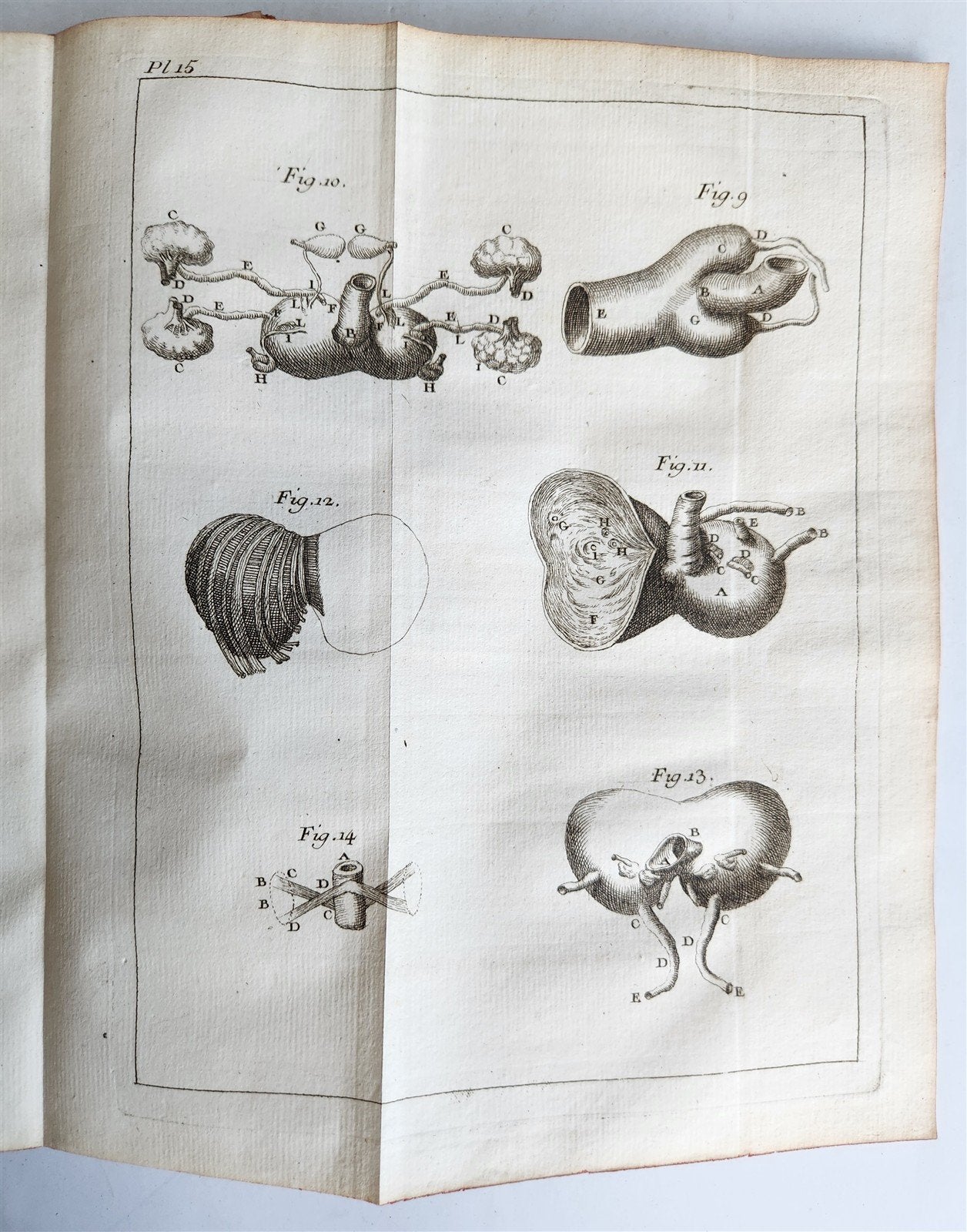 1748 MEDICAL TREATISE ILLUSTRATED ANATOMY by Francois PLANQUE antique V. 1