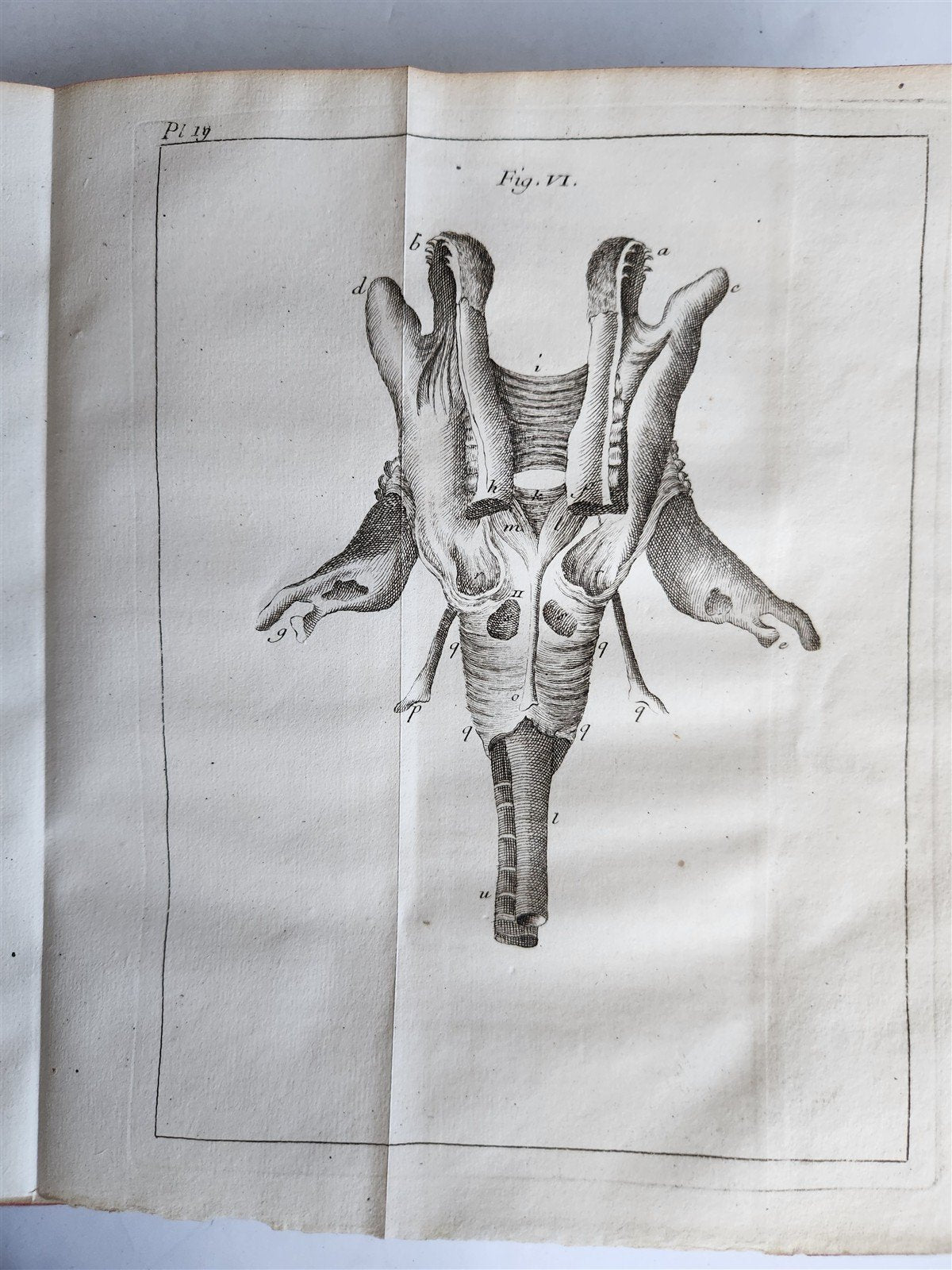 1748 MEDICAL TREATISE ILLUSTRATED ANATOMY by Francois PLANQUE antique V. 1