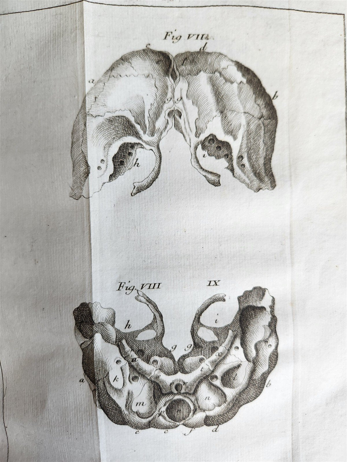 1748 MEDICAL TREATISE ILLUSTRATED ANATOMY by Francois PLANQUE antique V. 1