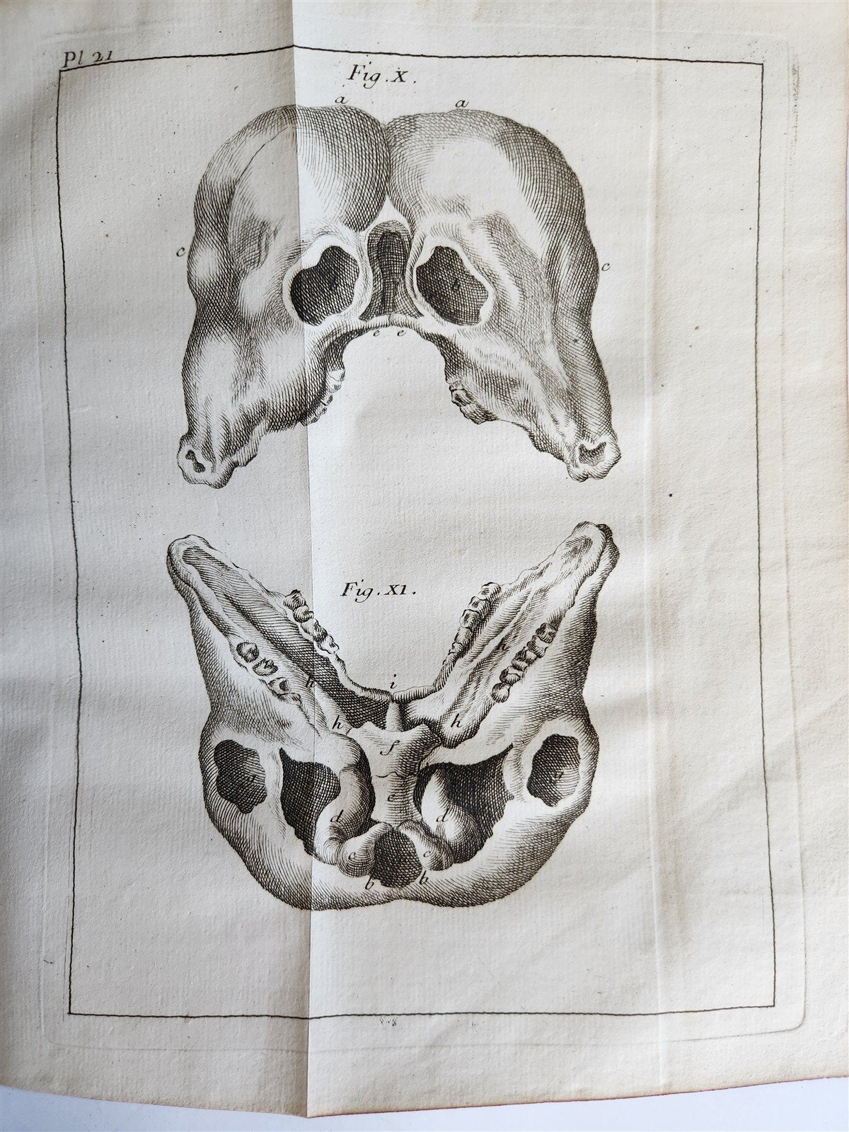 1748 MEDICAL TREATISE ILLUSTRATED ANATOMY by Francois PLANQUE antique V. 1