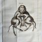 1748 MEDICAL TREATISE ILLUSTRATED ANATOMY by Francois PLANQUE antique V. 1