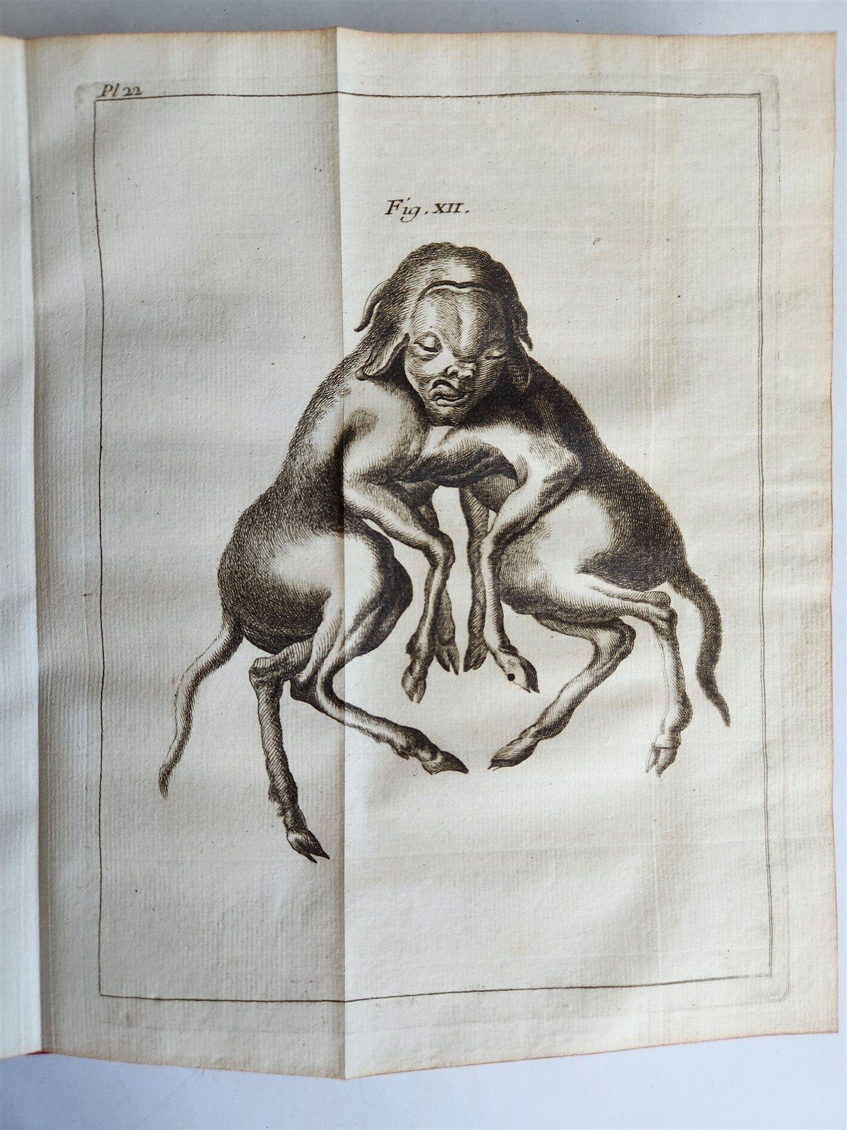 1748 MEDICAL TREATISE ILLUSTRATED ANATOMY by Francois PLANQUE antique V. 1