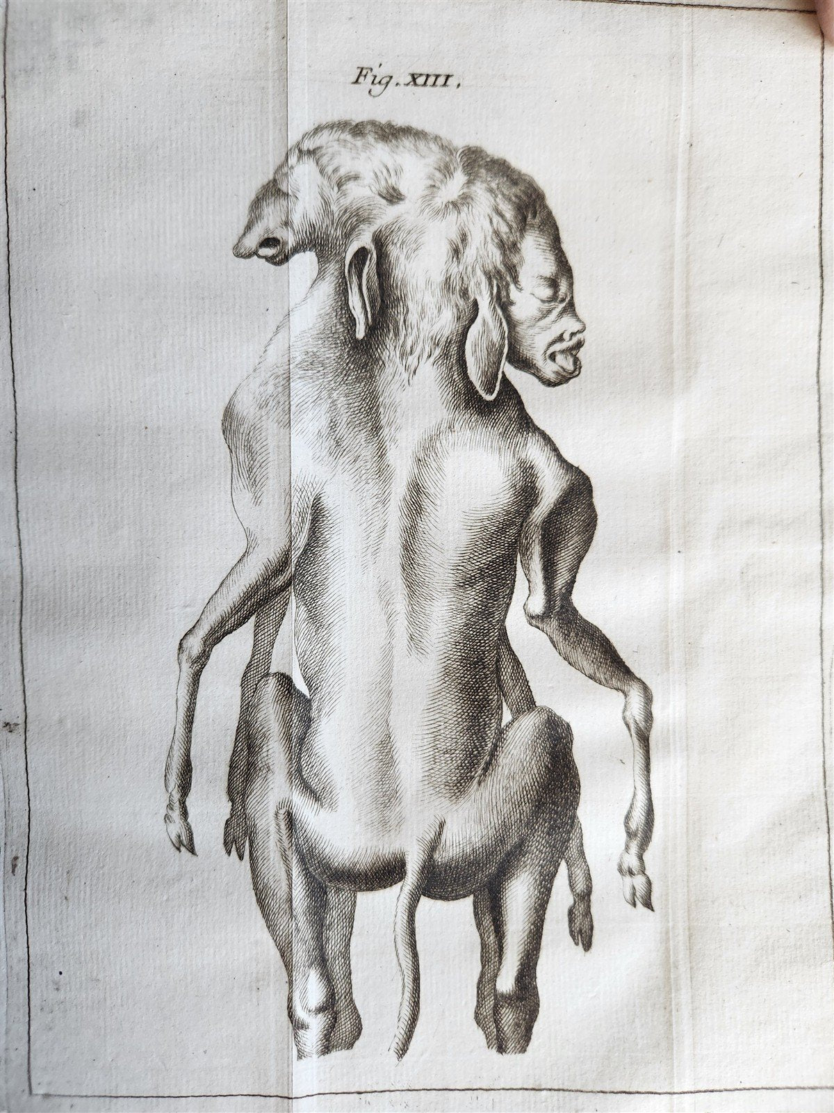 1748 MEDICAL TREATISE ILLUSTRATED ANATOMY by Francois PLANQUE antique V. 1