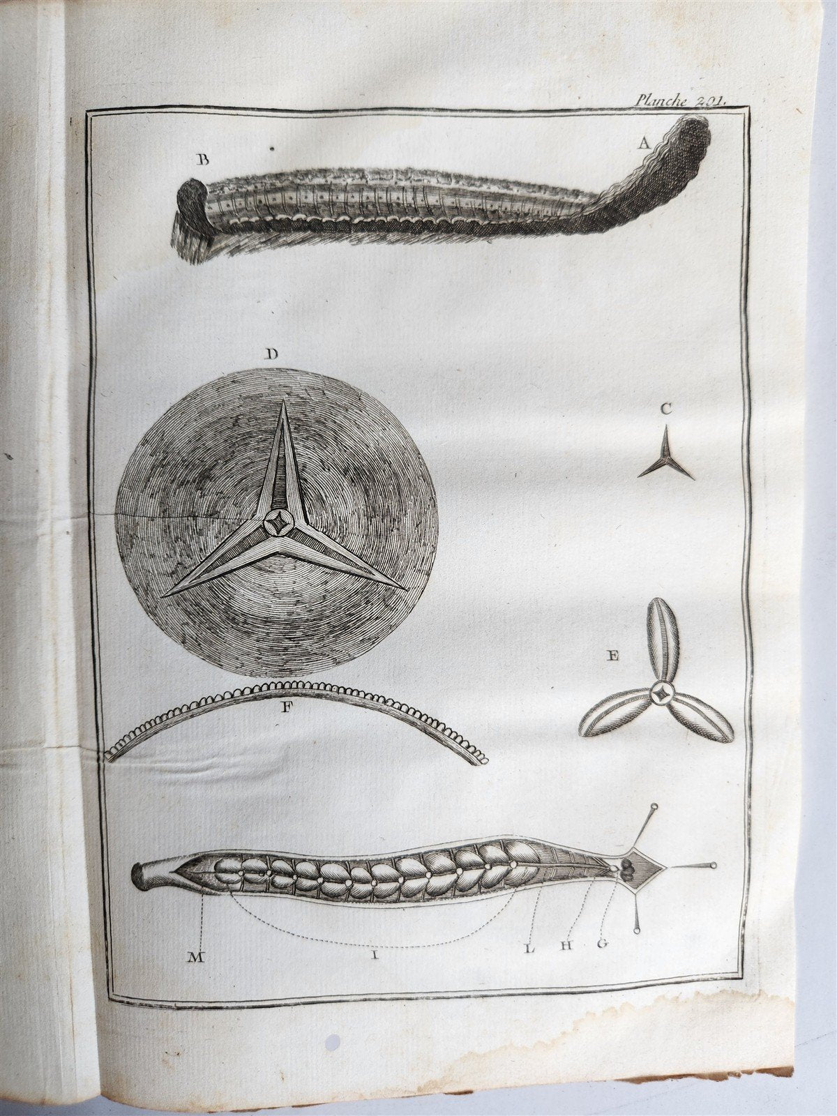 1770 MEDICAL TREATISE ILLUSTRATED ANATOMY by Francois PLANQUE antique V. 10
