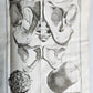 1770 MEDICAL TREATISE ILLUSTRATED ANATOMY by Francois PLANQUE antique V. 10