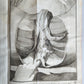 1770 MEDICAL TREATISE ILLUSTRATED ANATOMY by Francois PLANQUE antique V. 10
