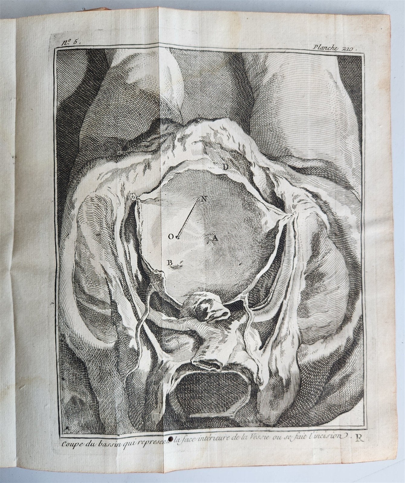 1770 MEDICAL TREATISE ILLUSTRATED ANATOMY by Francois PLANQUE antique V. 10