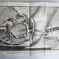 1770 MEDICAL TREATISE ILLUSTRATED ANATOMY by Francois PLANQUE antique V. 10